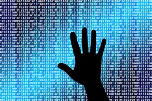 Read more about the article WikiLeaks, Putin, and the Attempt to Steal an Election