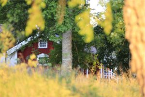 Read more about the article The Real Estate Market is Clearly Losing Momentum