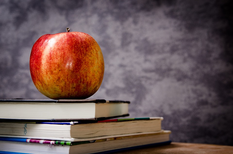 You are currently viewing Where to Start on Education Reform