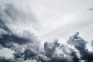 Read more about the article On the Front Lines of Hurricane Harvey Relief