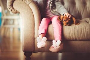 Read more about the article So You Successfully Defended Your Home… then the Nightmare Begins 