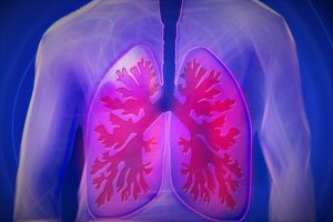 Read more about the article LungView Launches New Redesigned Website