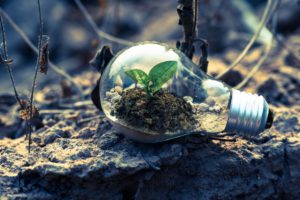 Read more about the article Remain Healthy and Fit by Keeping Clean and Green Environment
