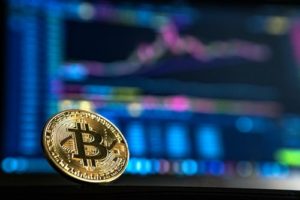 Read more about the article Cody Willard on the State of Bitcoin Worldwide