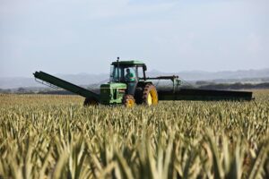 Read more about the article Golden Tips on Increasing the Harvest Income