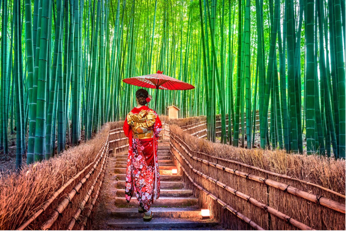 You are currently viewing The Perfect Japanese Patterns & Prints on Clothing