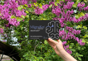 Read more about the article Migraines Have a Profound Economic and Lifestyle Impact, Is This Formulation the Solution?