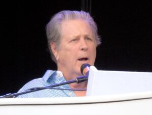 Read more about the article Understanding the Brian Wilson Conservatorship