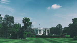 Read more about the article What Are the “Bounce Bank Jobs” That Trump Discusses as an Insult?