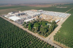 Read more about the article Strategies To Lead the Way in Sustainable Farming and Organics