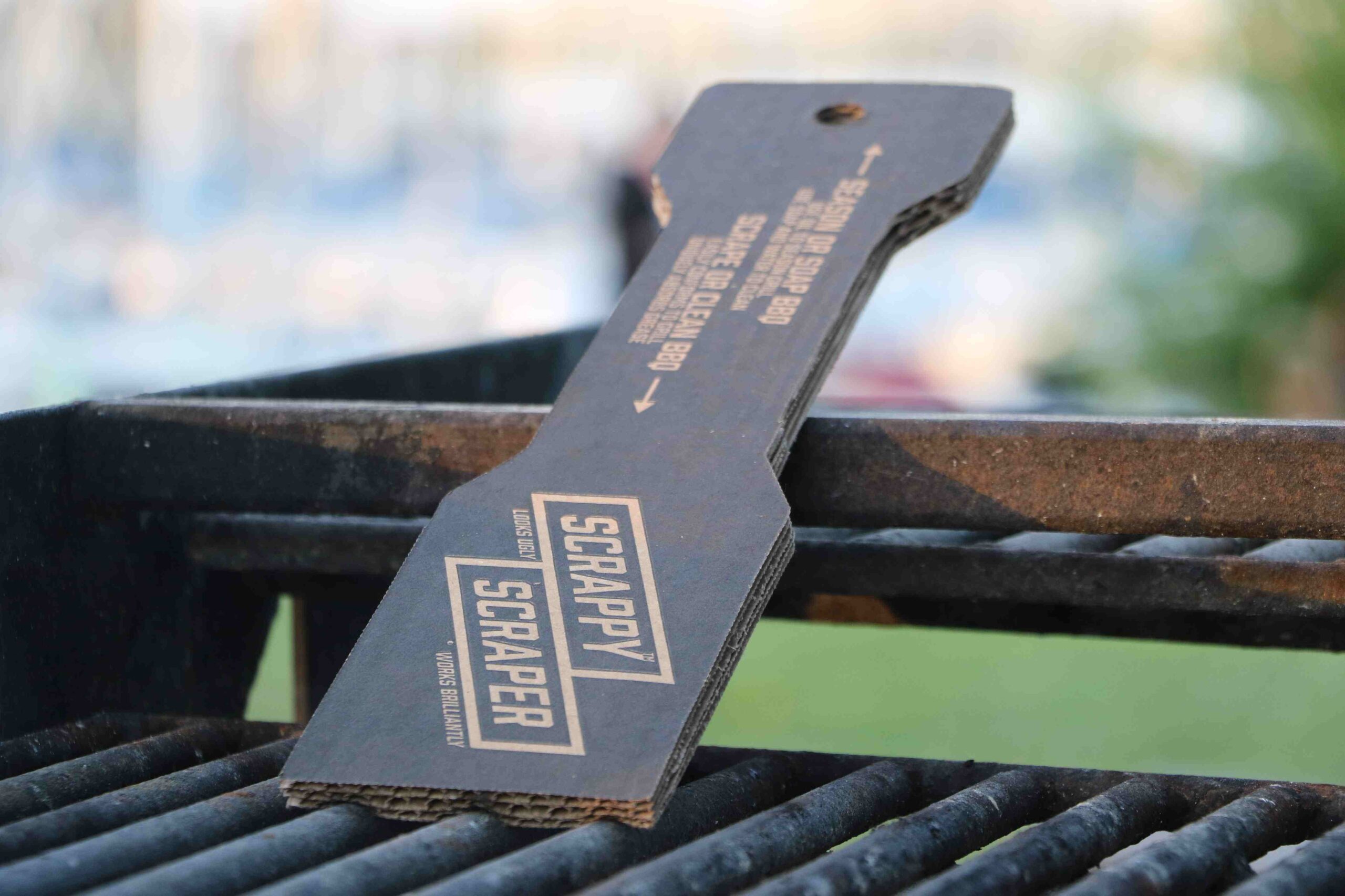 You are currently viewing From Backyard Problem to Business Success