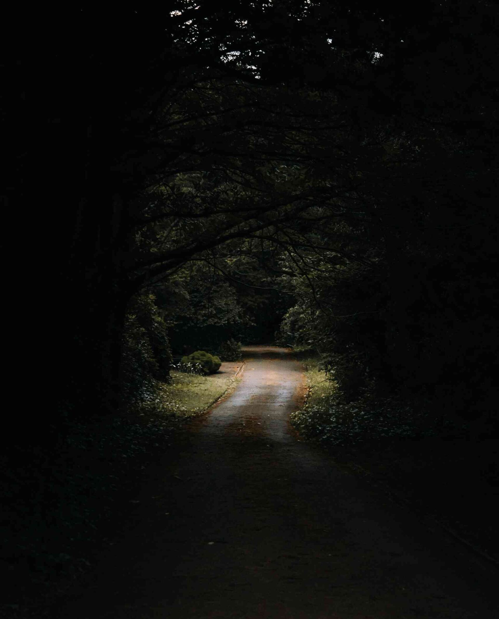 You are currently viewing Doing the Right Thing Brings Light to the Darkness