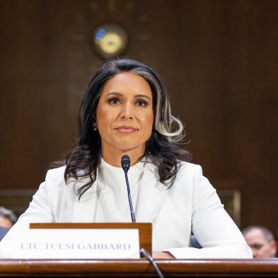 You are currently viewing The Media’s Lack of Understanding Gabbard’s Congressional Testimony