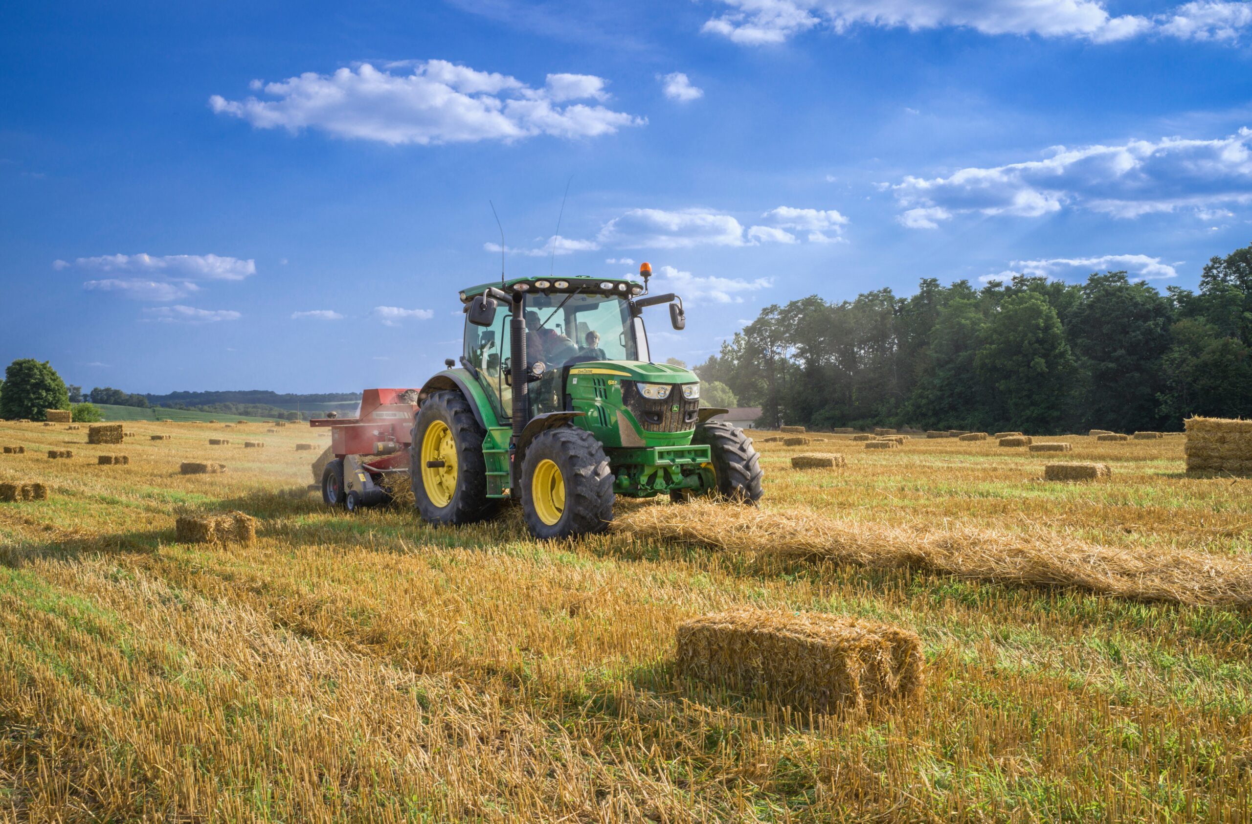 You are currently viewing Building the Future of Agrifood Alongside Industry Partners