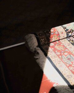 Read more about the article Why This Iconic Houston Rug Brand Has a National Reach