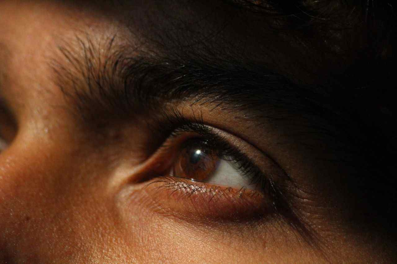 You are currently viewing Exploring 20 Years of Eye and Brain Health Science in a Vision for Vision